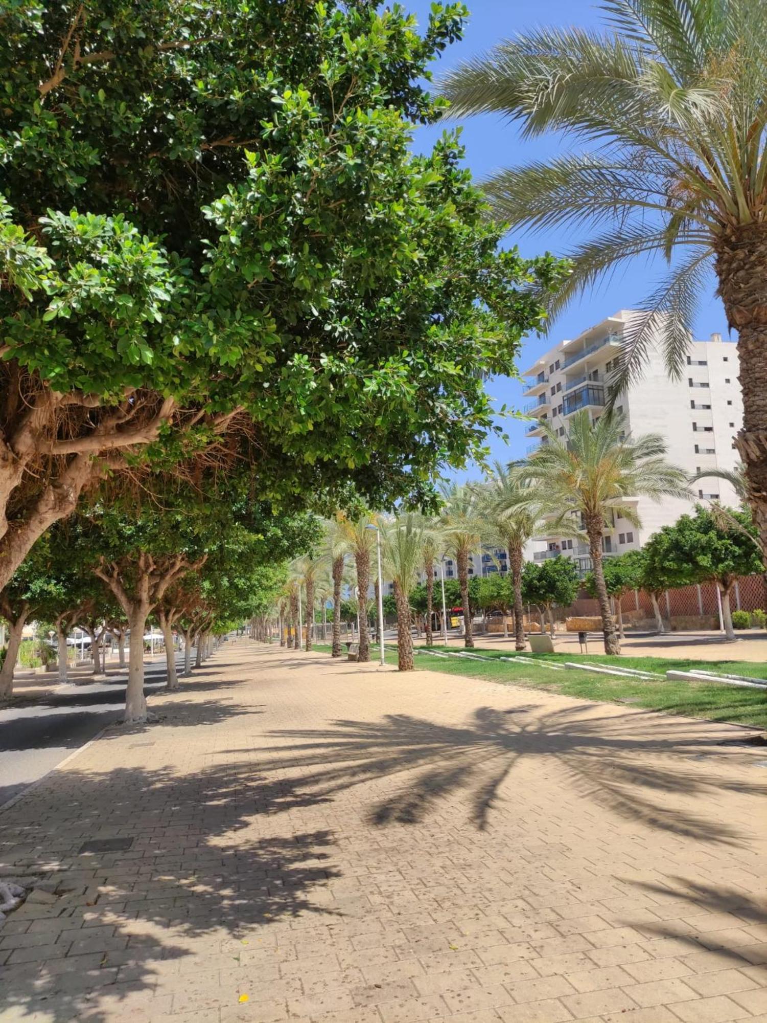 Alcotan 2 Modern Apartment With Sea View & Big Sunny Terrace كالا دي فينيسترات المظهر الخارجي الصورة