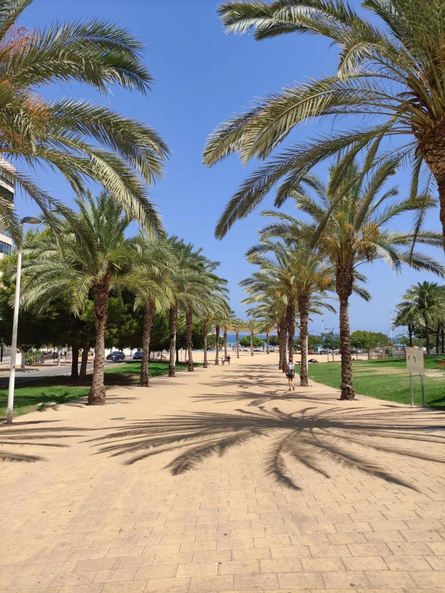 Alcotan 2 Modern Apartment With Sea View & Big Sunny Terrace كالا دي فينيسترات المظهر الخارجي الصورة
